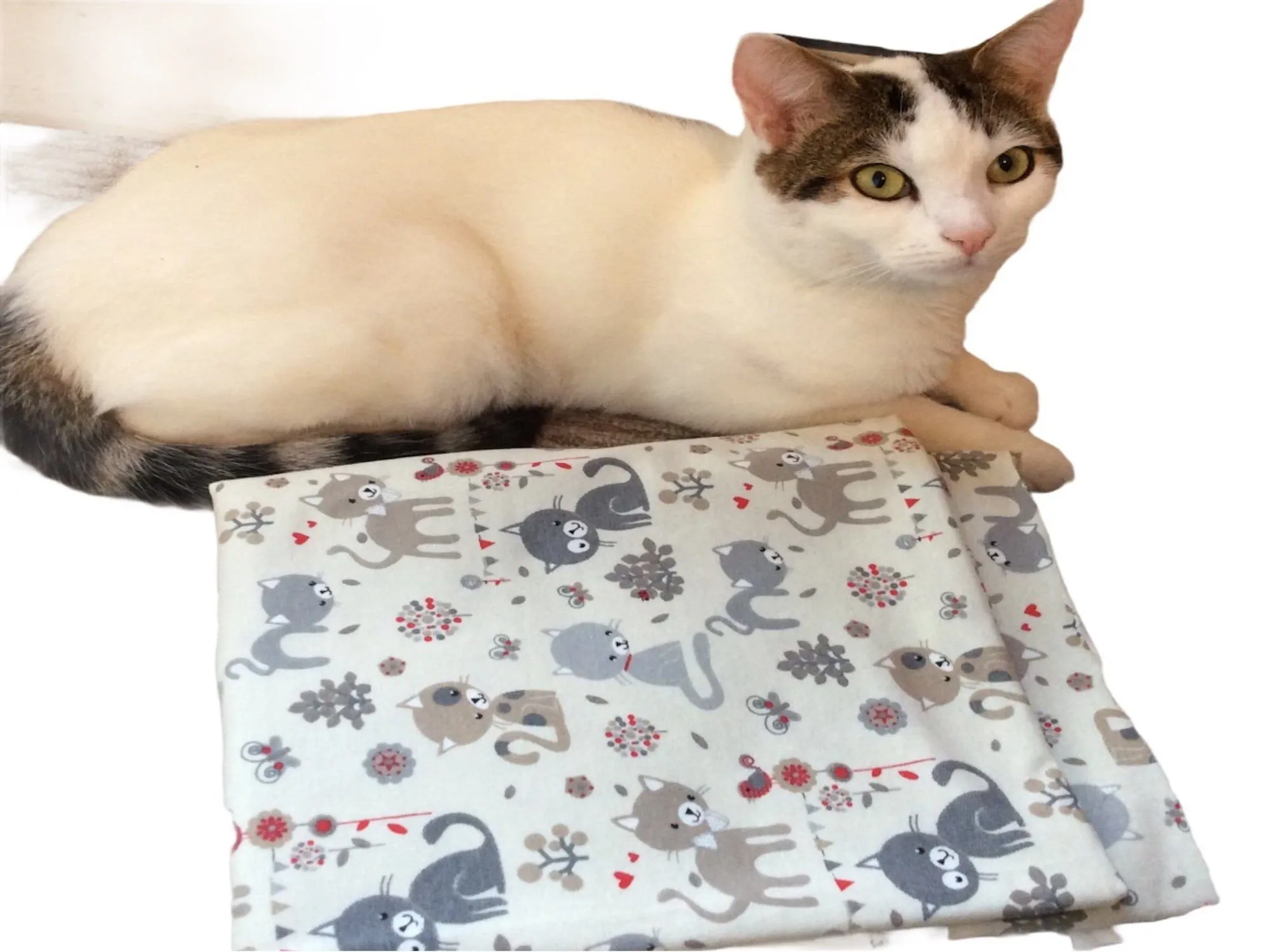 SMALL CATS Patterned  Stretch Jersey - Soft Jersey Fabric - 155 cm - 290gsm